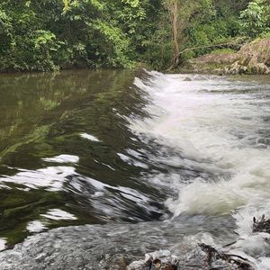 Meet your Posher, Ella-rose